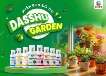Dasshu Garden giải pháp toàn diện cho cây trồng đô thị